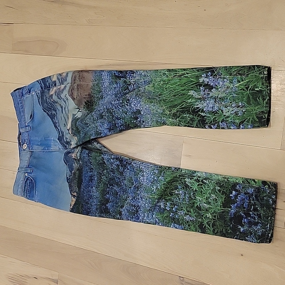 Hudson Barbara Straight Jeans. Mountain print.